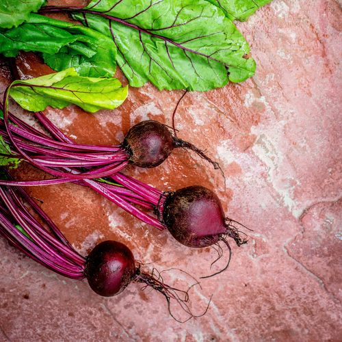 Beetroot nitrates and athletic benefits