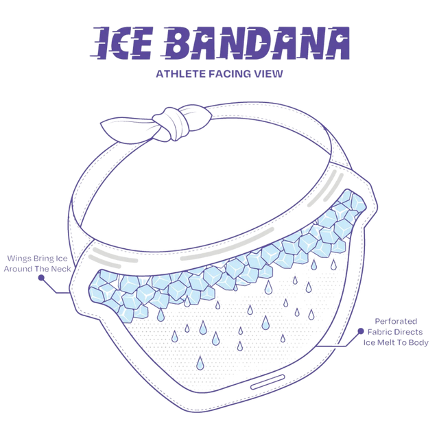 East-Peak-Ice-Bandana-V2-details-back_830cc769-25bb-4ce0-acd6-b5ea2ba28a3f