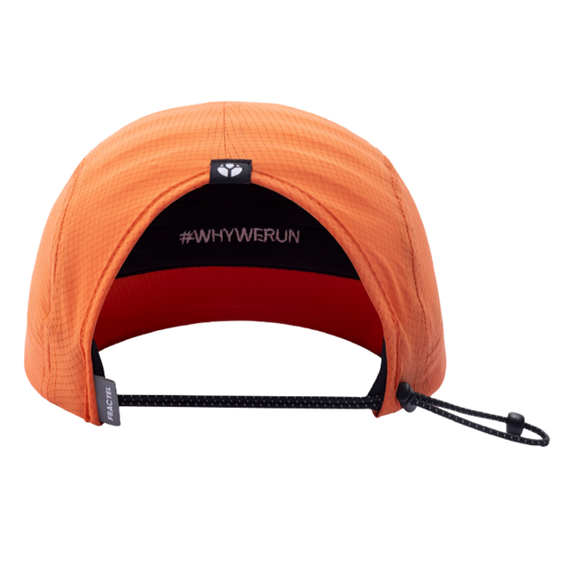 Fractel-E-Series-Cap-rays-back