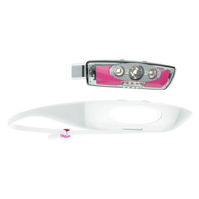 Knog - Bandicoot Run 250 Lumen Headlamp - Grape