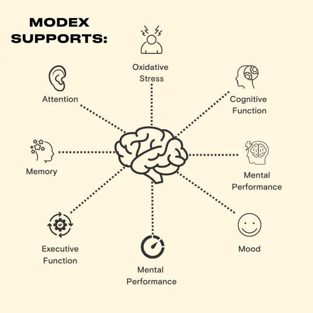 Modex - Pycnogenol Supplement - Infographic