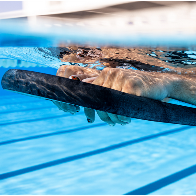 Orca-swim-baord-life