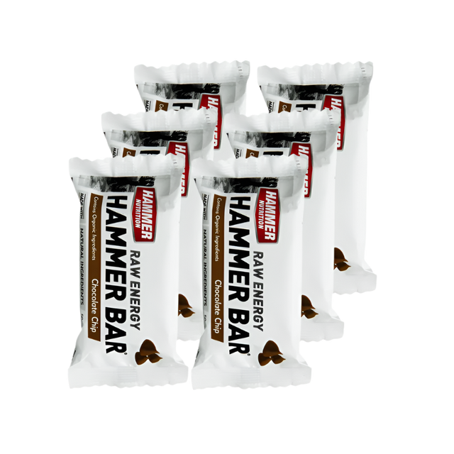 Hammer Nutrition - Energy Bars - Choc Chip - 6 Pack